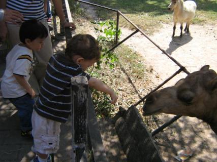 November 2008 108.jpg
